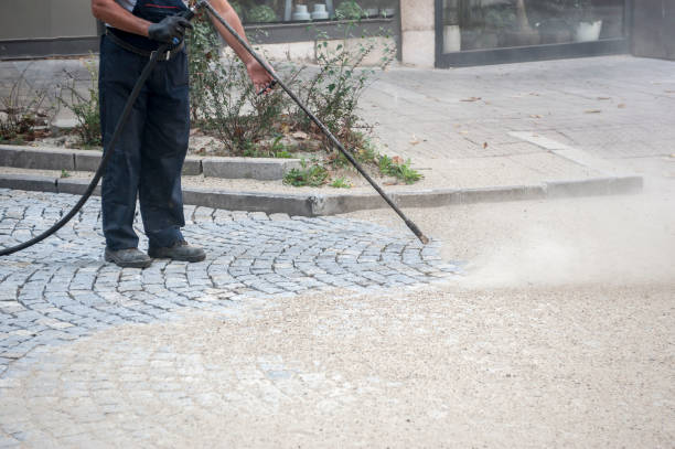 Best Gutter Cleaning  in Greenwood, SC